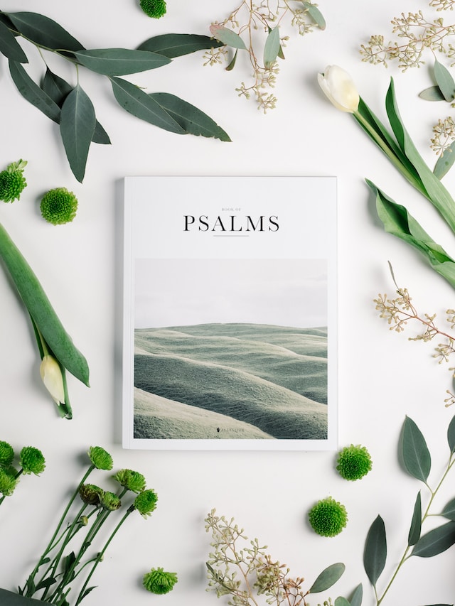 The book of Psalms