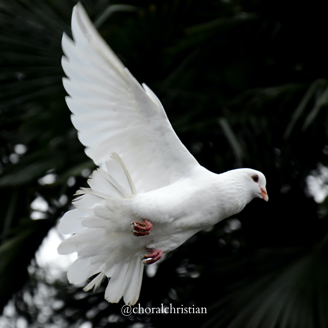 The doctrine of the Holy Spirit